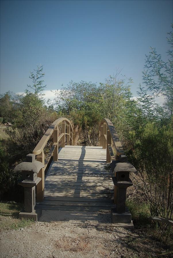 Forest Nature Spa The Crags Екстериор снимка